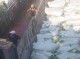 نجات یک فروند لنج از خطر غرق شدگی در بندر شهید باهنر